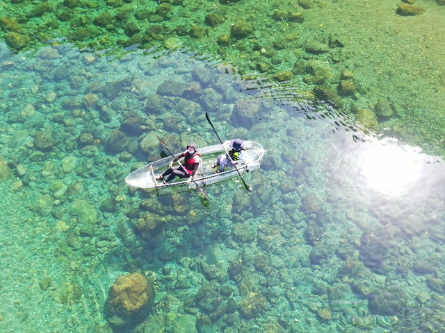 �����͐΂̑����G���A_�m����A�E�g�h�A�Z���^�[