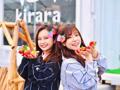 �������t�@�[�������̎ʐ^1