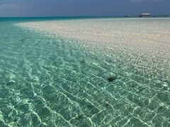 �Ί_���@�A�C�����h�z���C�g�R�[�����̎ʐ^