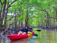 �Ί_�� �C�c�A�[�̎ʐ^1