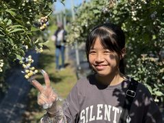 ���m�u���[�x���[�_���̎ʐ^1