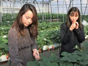 �n�C�t�����[�@�C�`�S�g�̎ʐ^4