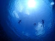 BalloonFish{Ó̎ʐ^3