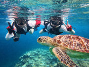 �Ί_�� �C�c�A�[�̎ʐ^4