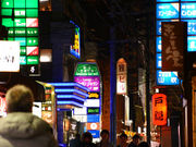 jV^`i{茧̑劽yXj̎ʐ^3