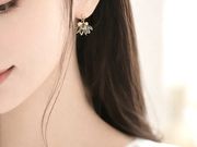 ���W�����A�N�Z�T���[���b�X���T�����@Lumiere�̎ʐ^4