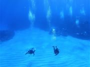 Diver'sguide guma̎ʐ^3