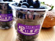 ���m�u���[�x���[�_���̎ʐ^4