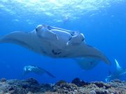 ALOALOBEACH약̎ʐ^2