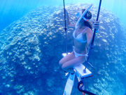 ALOALOBEACH약̎ʐ^4