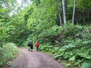 ARK ECO NAVIGATE̎ʐ^2