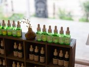 ILiA}@y^[i@kJTZbgX̎ʐ^3