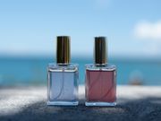 ILiA}@y^[i@kJTZbgX̎ʐ^4