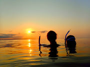 Ί_}T[rX߂̉Ԃ̎ʐ^4