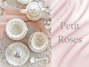 aَqƃ|[Z[cDNCN`[@FREADIA̎ʐ^4