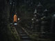 高野山奥之院ナイトツアーの写真3