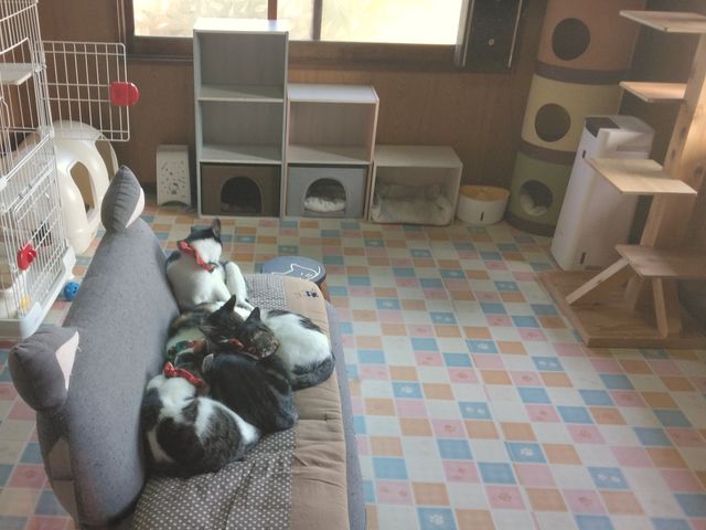 �ӂꂠ�����[���ɂ͂T�C�̔L_�L�Ɖ߂�����Ö��ƃJ�t�F ����܂߂̉�