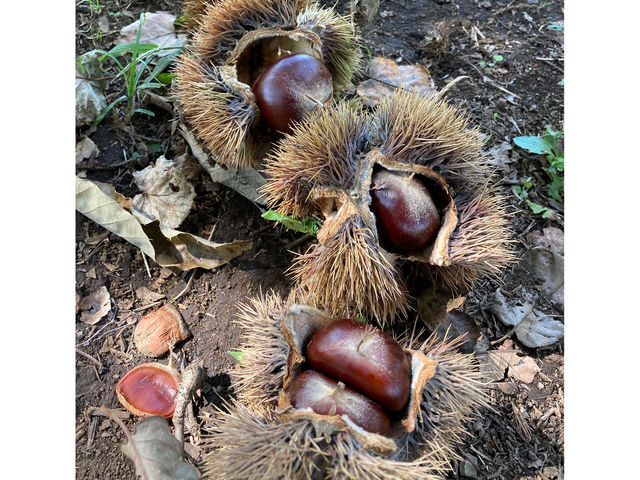 �I�̉��l�@�����ł��B�嗱�ł��܂���[_����_��