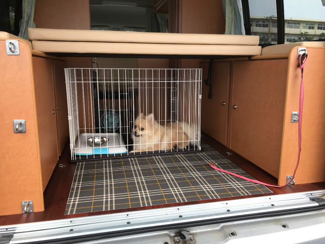 �L�����s���O�J�[�����^�� CANTAL��䓌�X