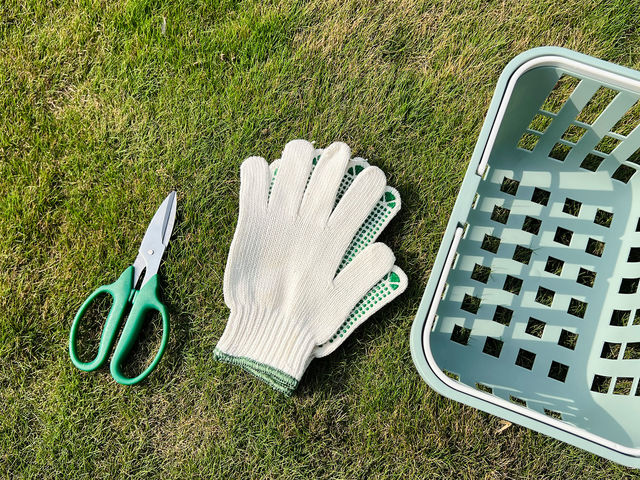 �n�T�~�A��܁A�J�S�A�����A��p�̑܂Ȃǂ͖����ő݂��o���Ă��܂�_�{�c�_��