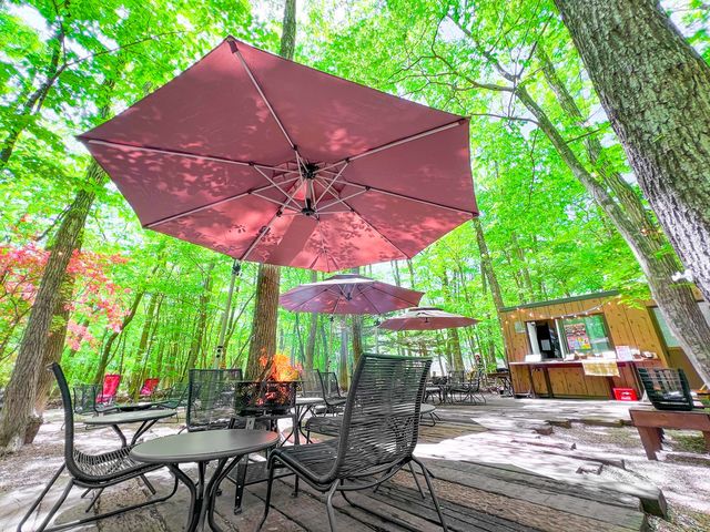 �J�t�F�ł̈�x�݂ł́A���АX�ї����y����Ł�_�W���C�����C�h�p�[�N