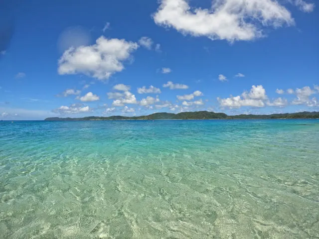 奄美大島北部ダイビングショップ LeapScubaAmamiの割引プラン