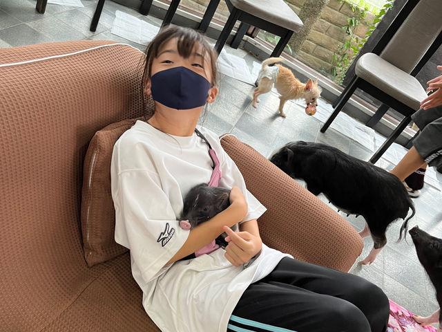 �}�C�N���Ԃ��J�t�F���s