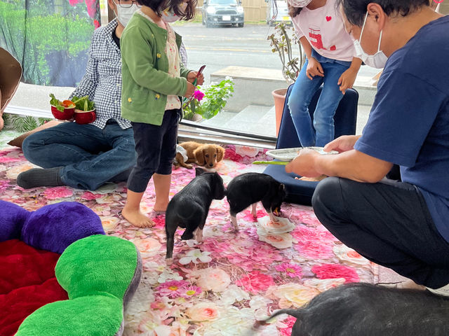 ���q�l���G����̊�{�����������܂��B�����Ƃ����Ԃɏ��ɗV�ׂ܂�_�}�C�N���Ԃ��J�t�F���s