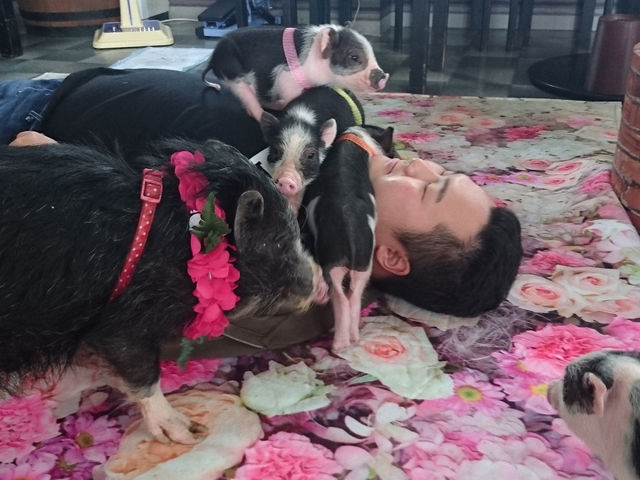 �k���n������̂��q�l�́A�ؕz�c�̖�������������^���̎q�����}�����܂����B�ǂ������ł��l�B���X�̃}�C�N���͓��ʂɏ������א�p�t�[�h�����p�ӂ��Ă���܂�_�}�C�N���Ԃ��J�t�F���s