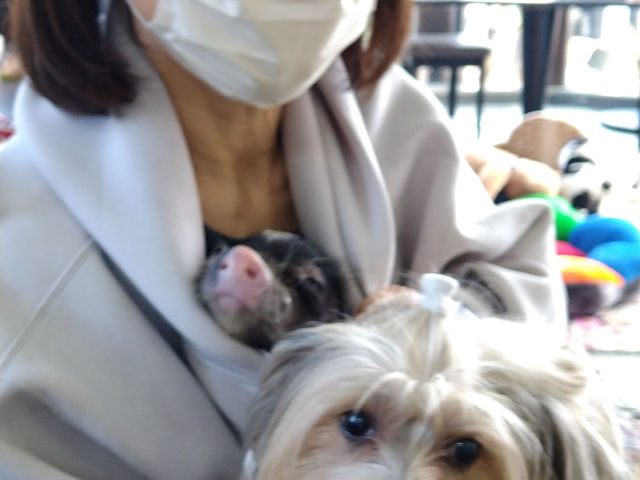 �������������o���܂�(�q�A�����O�L��)_�}�C�N���Ԃ��J�t�F���s