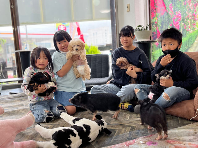 �P���ς݂̑�l�������������ɖ�����悤�I_�}�C�N���Ԃ��J�t�F���s