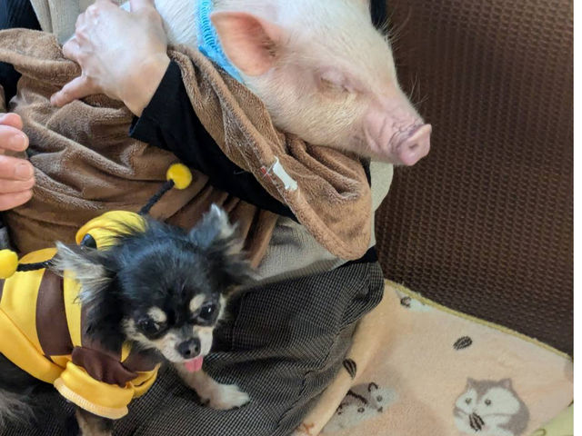 ��������L���ɂȂ����`�����̃i�������ƁB_�}�C�N���Ԃ��J�t�F���s