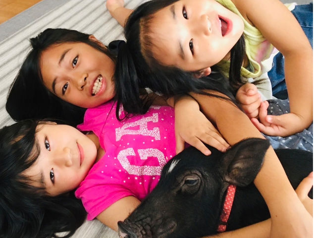 �䂪�Ƃ��炨�}�����������_�ސ쌧���c���܂̗l�q�ł��B�Ƒ��̈���ł��B_�}�C�N���Ԃ��J�t�F���s