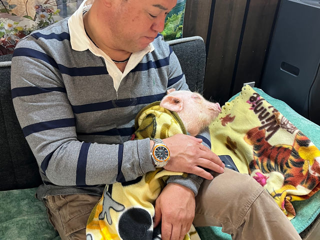 �Ԃ����񈵂��Ɋ���Ă���������̂Ŏf���ƒ{�YIT��Ƃ̎В��l�ł����B�������炠�肪�Ƃ��������܂�����_�}�C�N���Ԃ��J�t�F���s