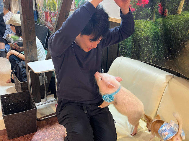 �Ԃ�����ƃ`��������񓯎��ɗV�ׂ�󏭂ȑ̌��^�J�t�F�B���䌧����̃��s�[�^�[�l_�}�C�N���Ԃ��J�t�F���s