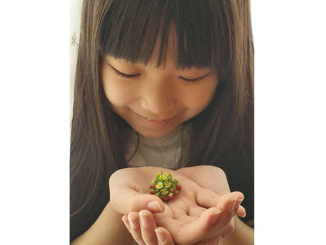 �����ȏ����ȔS�y�̃X�g���x���[�|�b�g_�~�j�`���A�ƃN���C�t�����[�̂䂫�肨�}�}��Handmade����