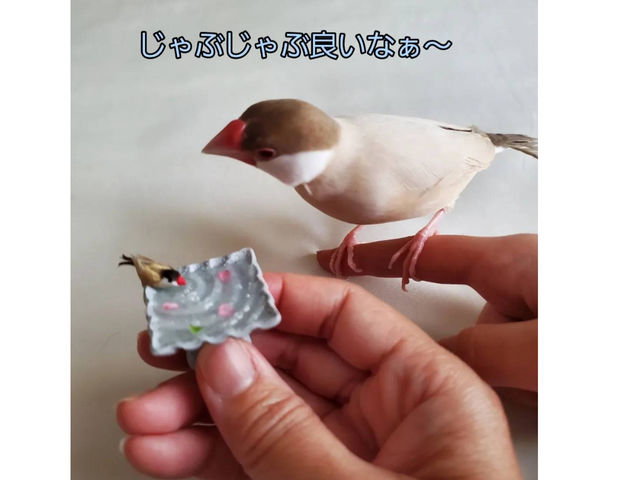 �S�y�Ńy�b�g�Ƃ̎v���o����낤_�~�j�`���A�ƃN���C�t�����[�̂䂫�肨�}�}��Handmade����