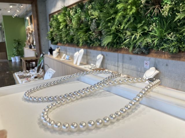 Xɂ͈QEFaỸp[WG[BYni̍îp[́Aւ̃v[g₨yYɐlCłB_utsukushimi FaX