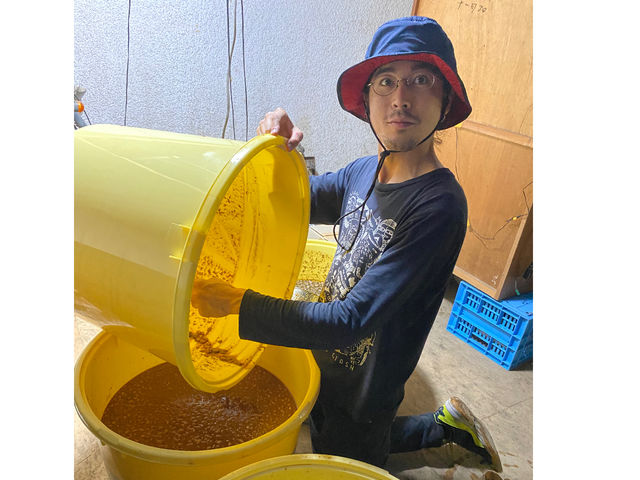 �ݖ����ŉߒ���̌��ł��܂��B_��悢�_��