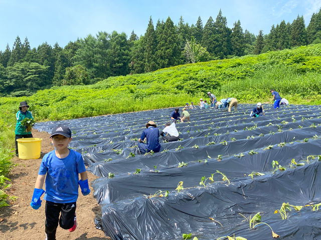 ���܂����̕c��A���Ă��܂��B_��悢�_��