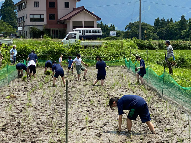 �c��ڂɑf���œ����ēc�A�����Ă܂��B�D�̊��G�͋C�������ǂ��ł��B_��悢�_��