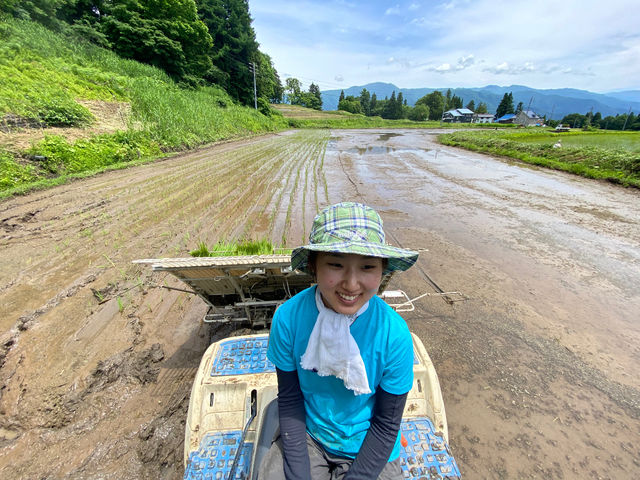 �c�A���@�ɏ��邩���I�H_��悢�_��