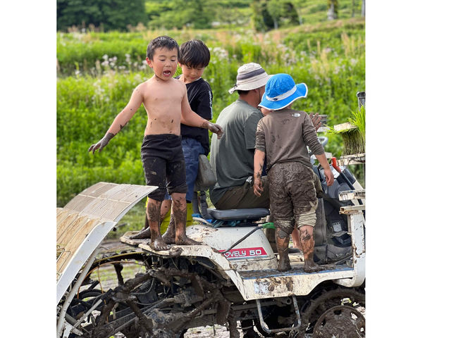 �c�A���@�̏ォ��A�����Ă���l�q�����Ă��܂��B_��悢�_��