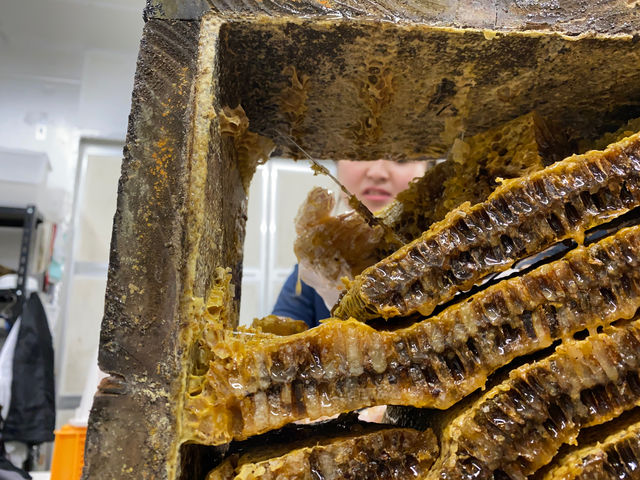 �n�`�~�c�̎��n���_��悢�_��