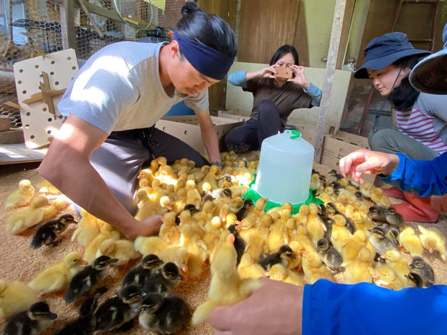 ���Ђ�ƍ����̐��������������B���ɐ���������܂��Ē����̔�������Ă��炢�܂��B_��悢�_��