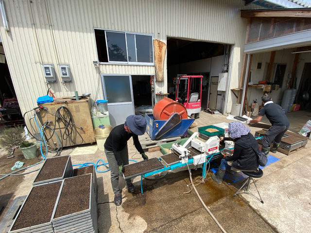 ��̎�܂��i�����܂��j�ł��B4�����{�̌��i�ł��B_��悢�_��