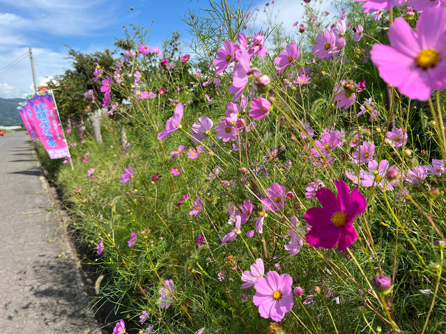 �g��i�����ˁj�Ԃǂ���