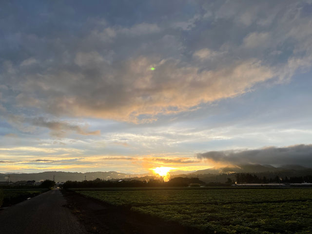 �g��i�����ˁj�Ԃǂ���