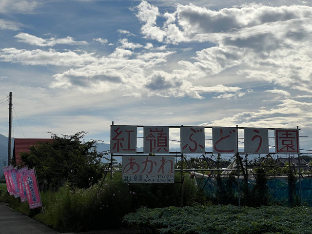 �g��i�����ˁj�Ԃǂ���