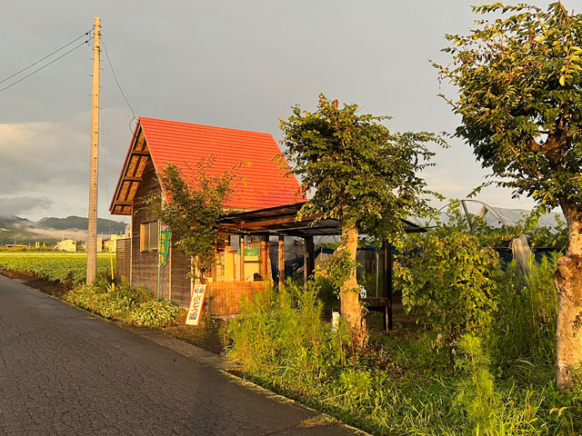 �g��i�����ˁj�Ԃǂ���